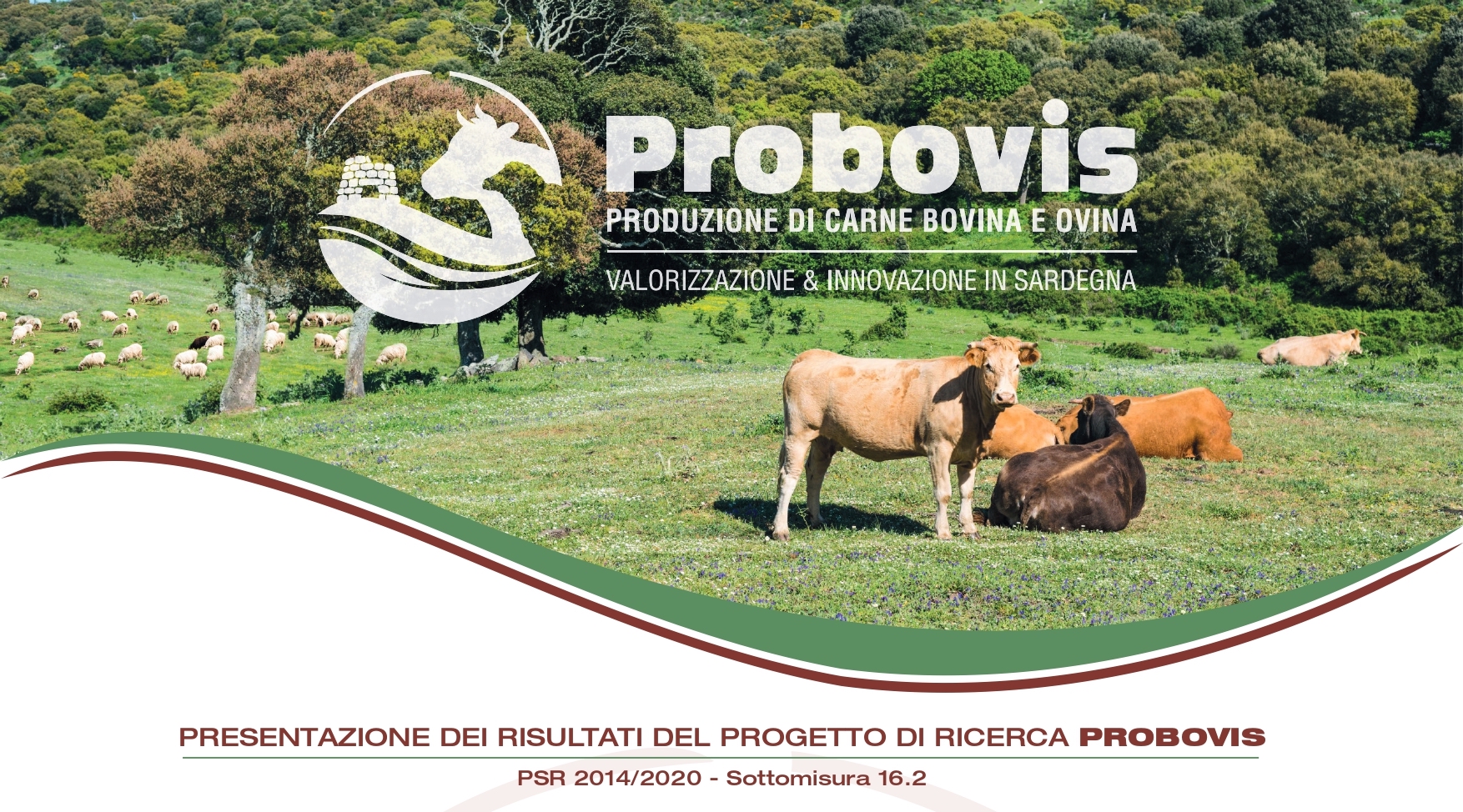 Venerdì 11 novembre a Sassari la presentazione dei risultati del progetto di ricerca PROBOVIS